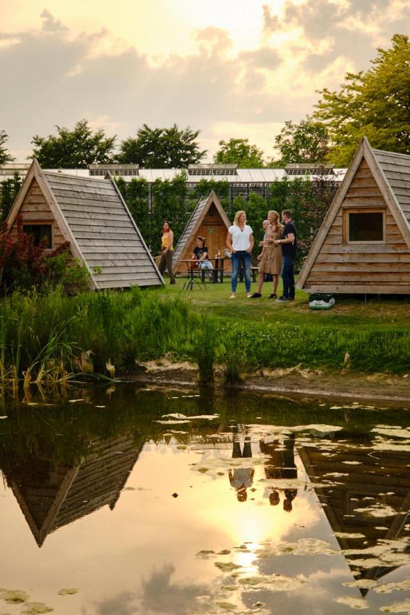 Achterhoeks Goed, Minicamping In Vragender 외부 사진
